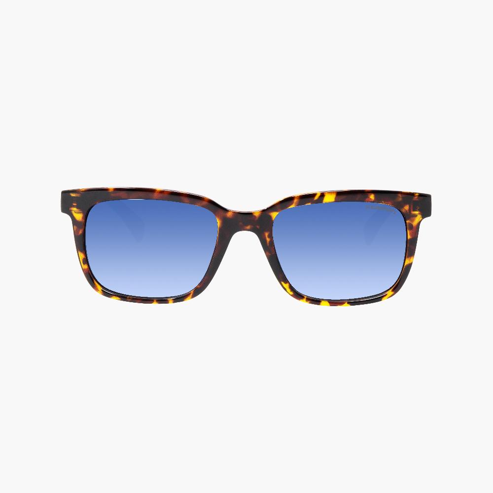 Scicon Occhiali da sole Roygo Tartarugati/Lenti Sfumate Blu Promozione