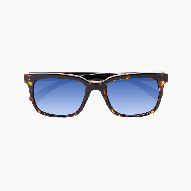 Scicon Occhiali da sole Roygo Tartarugati/Lenti Sfumate Blu Promozione