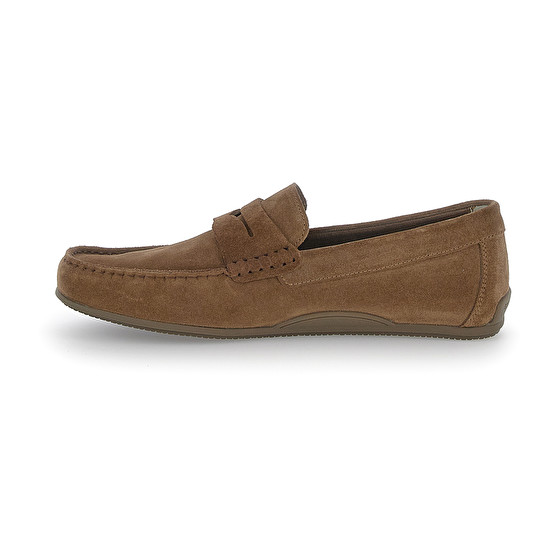 Stonefly SALVADOR 1 VELOUR Latest stili