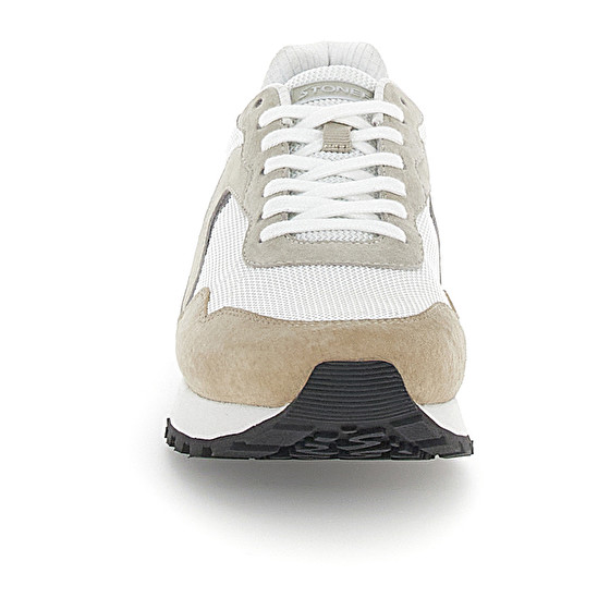 Stonefly YS 1000 SUE/NET Sostegno trimestrale